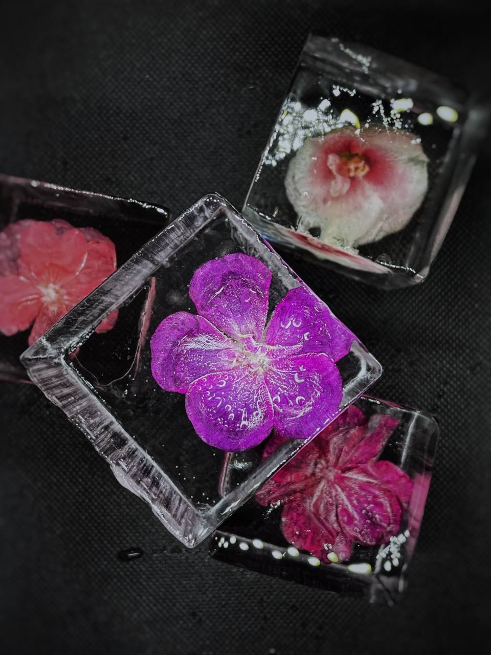 Cold Лід коктейльний квітковий 5х5 см 10 шт